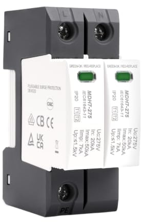 Parafoudre de Type T1+T2 Dispositif de Protection Contre Les Surtensions | 2P 20kA-50kA 275V AC parasurtenseur parafoudre domestique Montage sur Rail DIN Protection contre la foudre