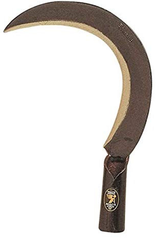 Angelo B 07.19.00 Roncola Scansano, Nero