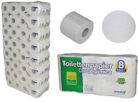 64 Rollen Toilettenpapier | 2-lagig | 250 Blatt | besonders weiches, saugfähiges Papier| günstige Großpackung | ideal für Hotel-Gastro-Kita-Praxis | Recycling | nachhaltig | VE= 8x8 Rollen=64 Rollen