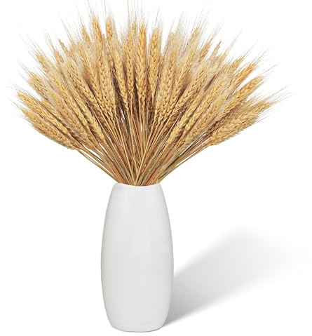 100 Stück Getrockneter Weizen Trockenblumen Getreide Getreide ähren Getrocknete Blumen 43cm Getrocknetes Weizenbündel natürliche Weizengrasdekorationen