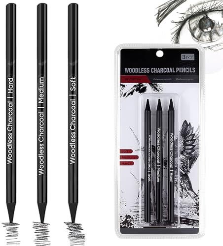 Charcoal Pencils for Artists - 3 Pcs Professional Drawing Pencils with Various Hardness for Sketching, Shading & Detailing | Ideal for Artists, Beginners & Students | Art Supplies for Studio & Outdoor