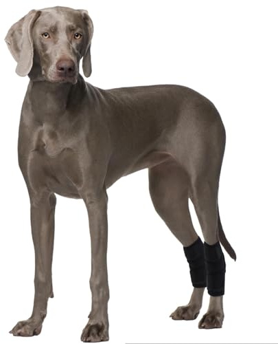 2 Piezas Protector de Articulación Perro, Rodilla Trasera/Delantera Perro Envólvulo de Pata Trasera, Protector Extra de Apoyo, Manga de Compresión para Articulación de Rodilla Y Tobillo(Negro, XL)