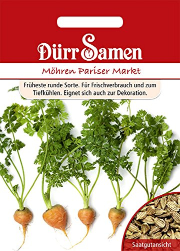Möhren, Pariser Markt, Daucus carota, Samen, Saatgut