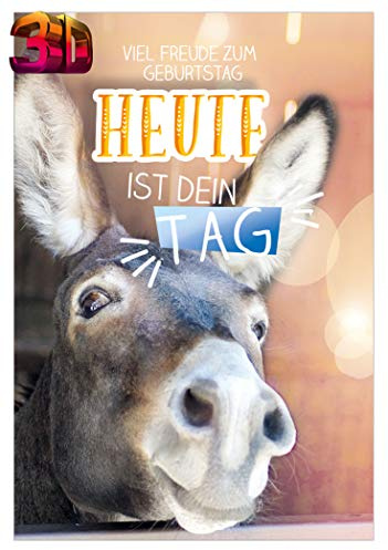 KE - 3D Effekt Geburtstagskarte mit Esel-Motiv, Inklusive Umschlag, DIN B6 Format, Lustige Klappkarte für besondere Glückwünsche