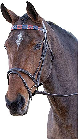 Shires Blenheim Polo-Stirnband, Leder, Rot / Marineblau