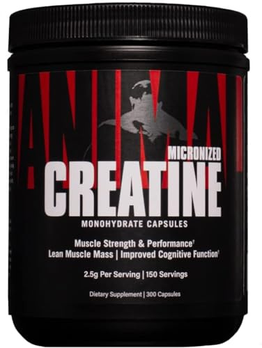 ANIMAL Creatine Kapseln – Creatine Monohydrate Supplement für Muskelkraft, Ausdauer & Regeneration – Energie im Training & Alltag – 300 Kapseln