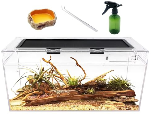 reptile terrariumSet terrario per rettili PC, vasca per rettili 50 x 25 x20 cm, con schermo per porta scorrevole superiore Ventilazione per insetti, pesci, tarantole, paguri, ragni saltatori, iguane