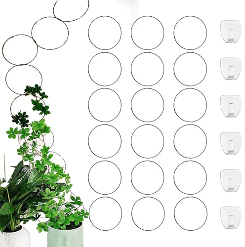 Generisch Zimmerpflanze Rankhilfe Edelstahl Rund Kette Klettern Rankhilfe Wandspalier für Rebe Efeu Blume Zimmerpflanzen Dekoration