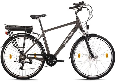 HOLLANDIA E-Citybike Herren 28 Zagon RH 53 cm Grau 250 Watt Li-Ion 36V/13 Ah 6 Gänge