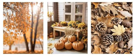 AQCQDQ 3er Premium Poster Set, Aesthetic Tannenzapfen Kürbis Blätter Bilder Set, Wandbilder Wohnzimmer Natur Herbst Wanddeko für Schlafzimmer Flur,Ohne Rahmen (50 x 70 CM)