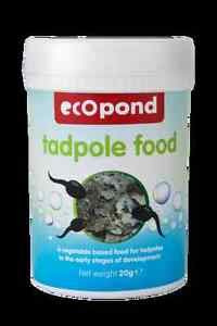 Eco Pond