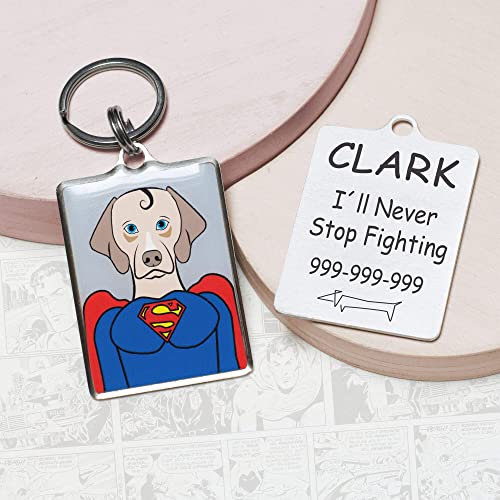 Snout Fashion Hundemarke Superdog, Edelstahl, für Katzen, Super Man in der Welt der Hünder, Personalisierte Hünde ID-Tags (40x30mm)