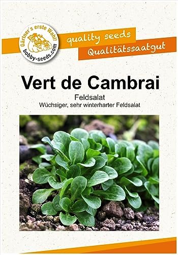 Salatsamen Vert de Cambrai Feldsalat Portion