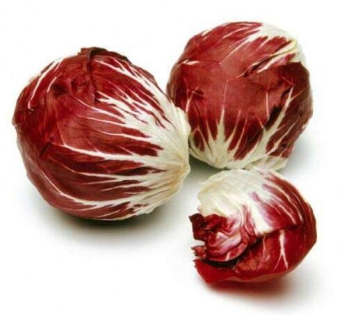 RADICCHIO * PALLA ROSA * VITAMIN PACKED * 100 SEEDS
