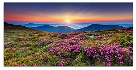 120x60cm - Fotodruck auf Leinwand und Rahmen Ukraine Blumenwiese Berge Sonne Natur - Leinwandbild auf Keilrahmen modern stilvoll - Bilder und Dekoration