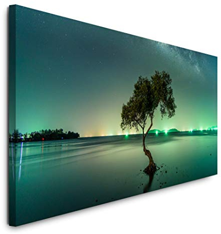 Paul Sinus Art GmbH Landschaft mit Milchstraßenhimmel 120x 50cm Panorama Leinwand Bild XXL Format Wandbilder Wohnzimmer Wohnung Deko Kunstdrucke