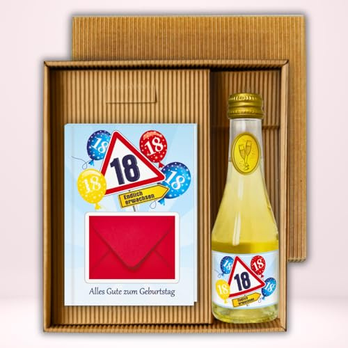 Geldgeschenk Buch Alles Gute zum 18. Geburtstag im Geschenkset mit Piccolo Beeren Perlwein 0,2 l, 8% vol. mit Geldumschlag