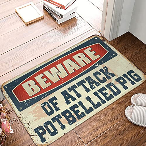 Décor de bar extérieur Beware of Attack Potbellied Tapis de bienvenue personnalisé Tapis de porche avant Décoration d'automne (taille : 65 x 90 cm)