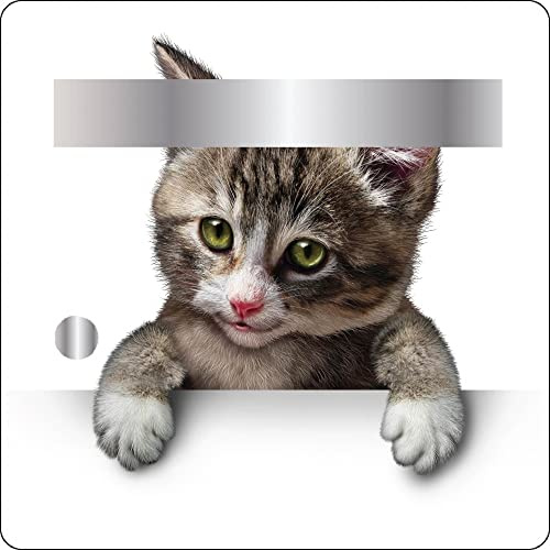 Jm-Déco Stickers boites aux Lettres Chat 30x30cm