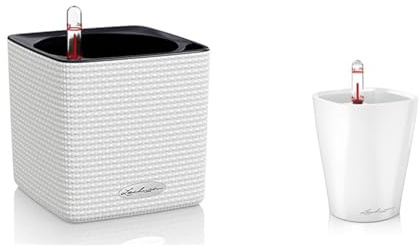 Lechuza Cube Color 14 weiß 13380 & MINI-DELTINI weiß 14950