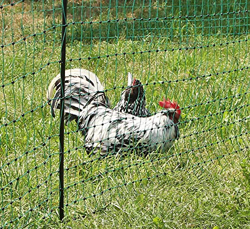 AKO Geflügelnetz, PoultryNet grün, ohne Strom, 112cm, Doppelspitze - 50m - Ideal auch für Kleintiere als optische Barriere - Geringe Maschenweite im unteren Bereich - Hühner, Gänse, Puten, Geflügel