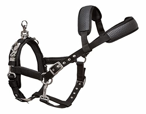 Start Kappzaum – Verstellbares Longierhalfter mit PVC-Verstärkung & Abnehmbaren Beschlägen – Trainingshalfter für Pferde (Schwarz, Warmblut)