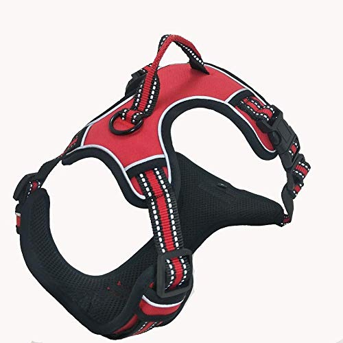 LYVQZPWLRHund dra med en vård, Hunddragsele utan dragkraft, reflekterande djurvästsele med robust handtag, justerbar remsele(Rosso,X-Large)