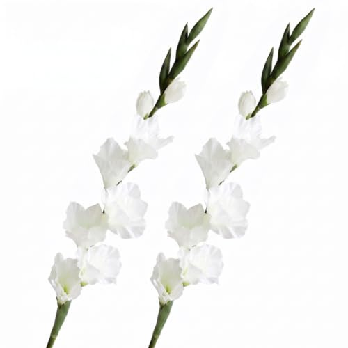 Imooreshine 2PCS White Gladiolus Artificial Flowers with Stems, 33 Inch Faux Flowers Indoor for Wedding Home Party Floral Arrangement Centerpiece Table Decor