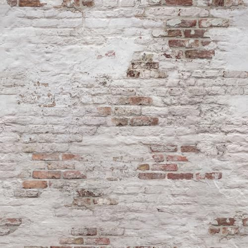 Hexoa Papier Peint Briques - Made in France - 159x280cm 159x280