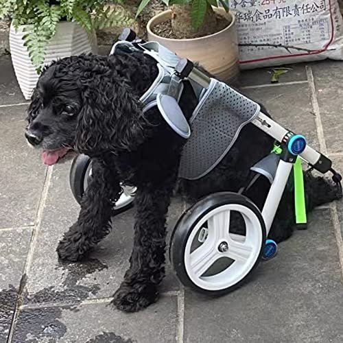 Hunde Rollstuhl Hunderollstuhl Hunderollwagen Hunderollstuhl Small Medium Large Für Hinterbeine, Haustierrollstuhl Für Hunde Und Katzen Mit Leine, Rehabilitationswagen Für Die Hinterbeine, Verstellbar
