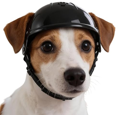 Katzenhelm mit verstellbarem Kinnriemen, Ohrlöchern | Helm-Mütze Geeignet Für Kleine Hunde Für Fahrradfahren, Motorradfahren, Outdoor-Aktivitäten, Camping, Reisen Und Große