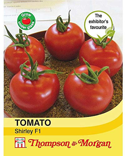 Thompson & Morgan - Vegetables - Tomato Shirley F1 Hybrid - 15 Seed
