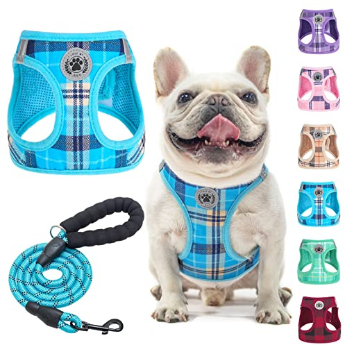 BEAUTYZOO Kleines Hundegeschirr und Leinen-Set, Step-in No Choke No Pull Weiches Mesh-Hundegeschirr Reflektierend für Extra-Kleine/Kleine Mittlere Welpen Hunde und Katzen, Kariertes Hundegeschirr für