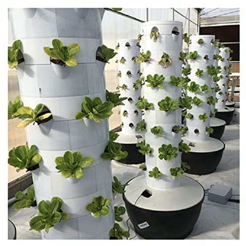 BASSFLY Garden Hydroponic Growing System Vertical Tower Automatisieren Aeroponik Mini Indoor Outdoor Home Grow Herb Ohne LED-Licht