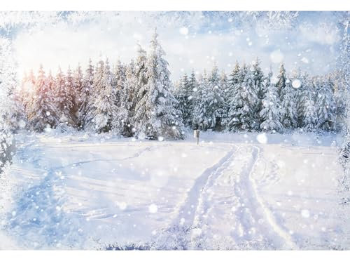 MIRRORANG 3x2,5m Foresta Innevata Sfondo Inverno Paesaggio Fiocco di neve Alberi Fotografia Sfondo per Natale Vacanza Nuovo anno Celebrazione Manifesto Foto Studio oggetti di scena, Vinile