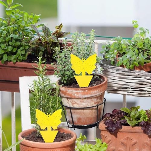 Garden Mile Gelbe klebrige Fliegenfalle, Aufkleber, Fruchtfliegenfallen für den Innenbereich, ungiftig, sicherer, klebriger für den Außenbereich, Klebeband, Gartenpflanzen, Zimmerpflanzen, Fliegen