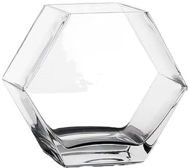 Fischschale Glasfischbehälter, verdickter transparenter Fischbehälter, dekorativer Fischbehälter for den Schreibtisch, Büro, kreative Goldfischschale, Glasvase Aquarium für(20x10x17.6cm)