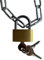 Catena in acciaio con lucchetto | Include 3 chiavi | lunghezza da 25 cm a 250 cm | lucchetto da 25 mm + 2 x 22 x 8 mm catena zincata (120 cm).