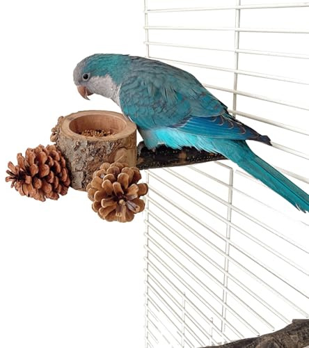 Fågelpinne,Dubbelfunktion Burleksak Och Matare För Husdjur | Pinne Med Matskål Och Ställ För Nymfparakit | Matning, Träning, Lek, Tuggning Berikning Fink, Conure