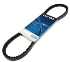 DAYCO 4pk1041eehd Keilriemen geriffelt, HD