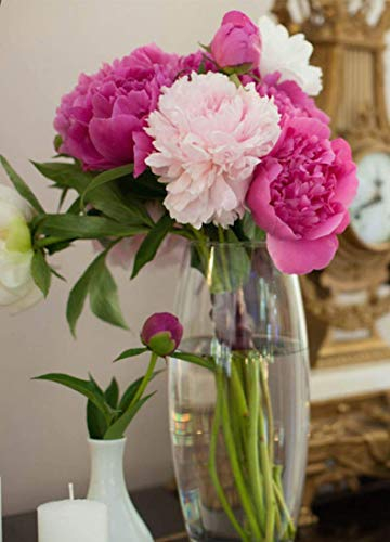 Maison Zoe Mundgeblasene und Handgefertigte Glasvase Amaryllis - 26cm Slim - Blumenvase - Deko & Hochzeit