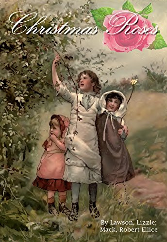 Christmas roses