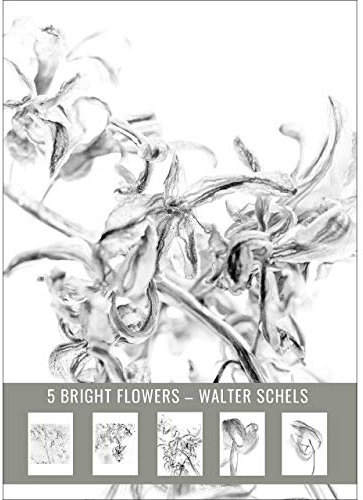 5 BLUMENPOSTKARTEN. Postkartenset # 3 Walter Schels