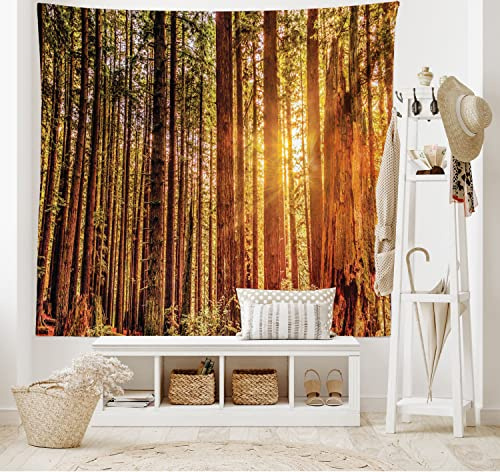 ABAKUHAUS United States Tapestry, Tall Trees Red Woods Forest Humboldt California Sequoia Picture, Wall Hanging for Bedroom Living Room Dorm, 60 W X 40 L, Orange Dark Brown Green