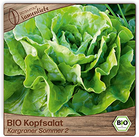 Samenliebe BIO Kopfsalat Samen Kargraner Sommer 2 süß nussiger Hochsommersalat Salat grün 500 Samen samenfestes Gemüse Saatgut für Gewächshaus Freiland und Balkon BIO Gemüsesamen