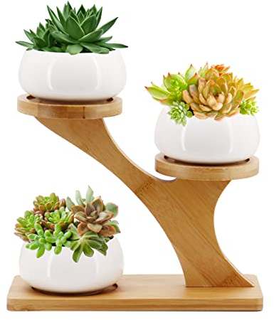 Gearific Vasi per piante grasse, vaso da fiori in ceramica con vassoio in bambù, piccoli vasi per cactus per casa, ufficio, scrivania, davanzale della finestra, decorazione (rotondo)