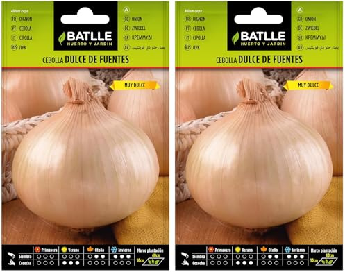 Semillas Batlle Graines d’Oignon Dulce De Fuentes (Lot de 2)