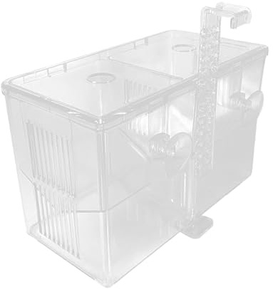 Fischzuchtbox Für Aquarien – Transparenter Inkubatorbehälter | Doppelkammer-Aufzuchtbox Zum Braten Von Betta-, Salzwasser, Süßwasser, Lebendfutter, Kultivierung, Probenbeobachtung, Gu