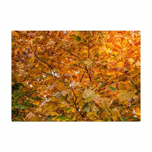 Vero Home 18565 Glas-Schneidebrett | Motiv Natur Herbst | rutschfest, kratzfest und lebensmittelecht | Maße: 39 x 29 cm