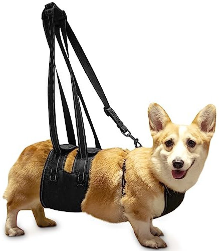 Ownpets Dog Support Harness Set, Support & Rehabilitation Sling with Adjustable Chest Strap,Assisted Strap & Hauling Cable, For Aged, Disable Dogs Needing Help with Mobility or Balance (M)